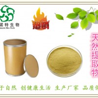 假馬齒莧提取物 10:1 白花豬母菜提取物 質優價廉