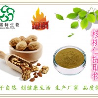 核桃提取物 10:1 核桃仁提取物