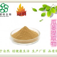 廠家現貨直銷：瓜蔞提取物 10:1 栝樓提取物