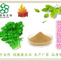 芫荽提取物10 ：1 香菜提取物 比例濃縮
