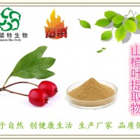 山楂葉提取物 海紅果葉提取物 現(xiàn)貨直銷