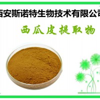 西瓜皮提取物 20:1 西瓜皮比例提取 可試樣