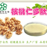 核桃多肽 核桃仁肽粉 1000道爾頓以下 穩定供應