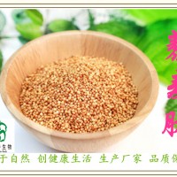 藜麥肽80% 藜麥小分子肽 三方檢測 備案廠家 斯諾特生物