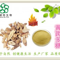 黃芪提取物 黃芪多糖50% 紅芪提取物 廠家粉