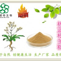 廠家供應：板藍根多糖30% 板藍根提取物 板藍根糖肽