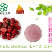 巴西針葉櫻桃果汁粉 25%維生素C高含量 速溶櫻桃VC粉