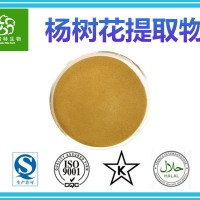楊樹花提取物10:1 楊樹花粉 楊樹花濃縮粉 現(xiàn)貨包郵