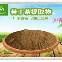 批發苦丁茶提取物 富含苦丁皂甙 苦丁濃縮粉