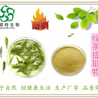 廠家批發(fā) 天然綠茶提取物 含量≥98%茶多酚 清新爽口
