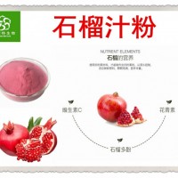 臨潼基地石榴汁粉 濃縮提取物 VC豐富 定制石榴濃縮汁