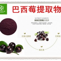 巴西莓提取物 acai berry 也叫阿薩伊果粉 現貨包郵