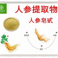 黑龍江人參粉 人參提取物 富含多糖和人參皂甙 實(shí)力廠(chǎng)家