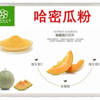 新疆哈密瓜提取物 哈密瓜粉 廠家定制哈密瓜濃縮汁