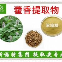 藿香提取物 藿香高比例濃縮粉 10:1 現貨供應