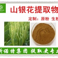 灰氈毛忍冬提取物 山銀花提取物 富含綠原酸 可至98%