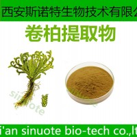 卷柏提取物 寧夏基地 斯諾特快速發貨