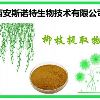 水楊甙25% 柳枝提取物 垂柳提取物 柳枝粉