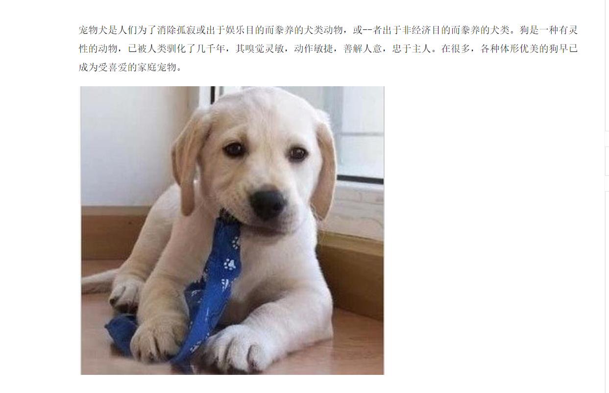 小型口糧膨化機價格