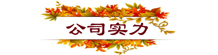 公司實力