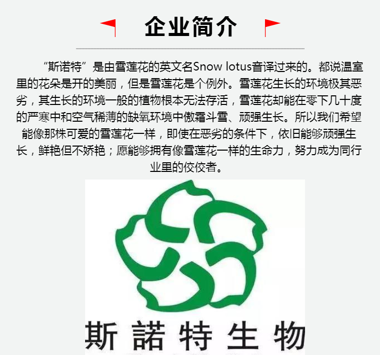 企業簡介