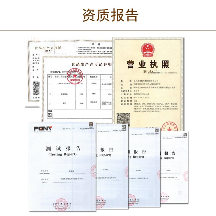 資質報告