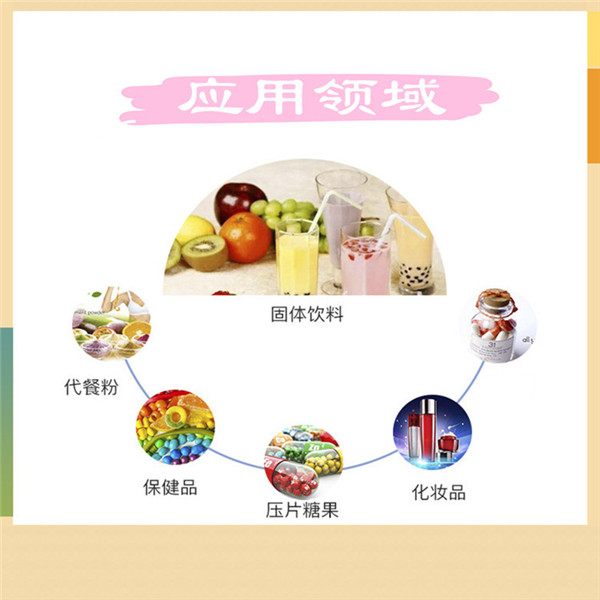 應用領域13