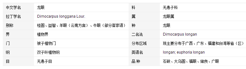 龍眼