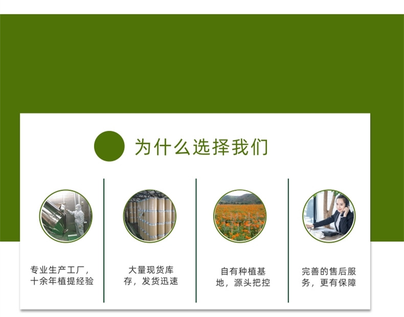 為什么選擇我們