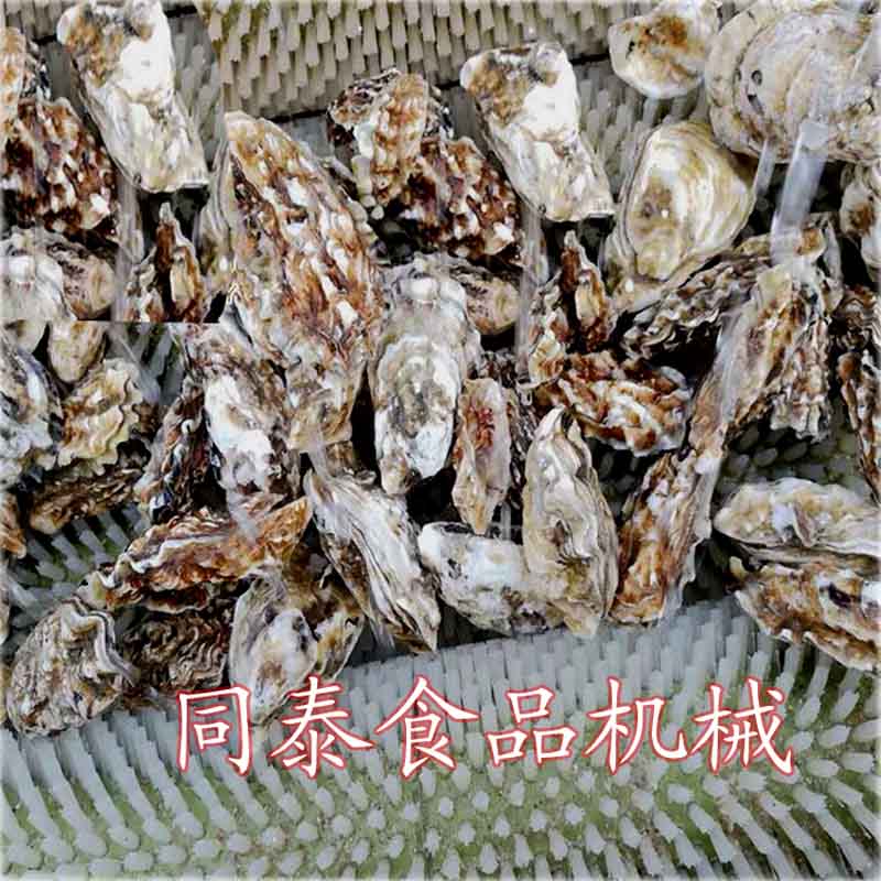 牡蠣清洗