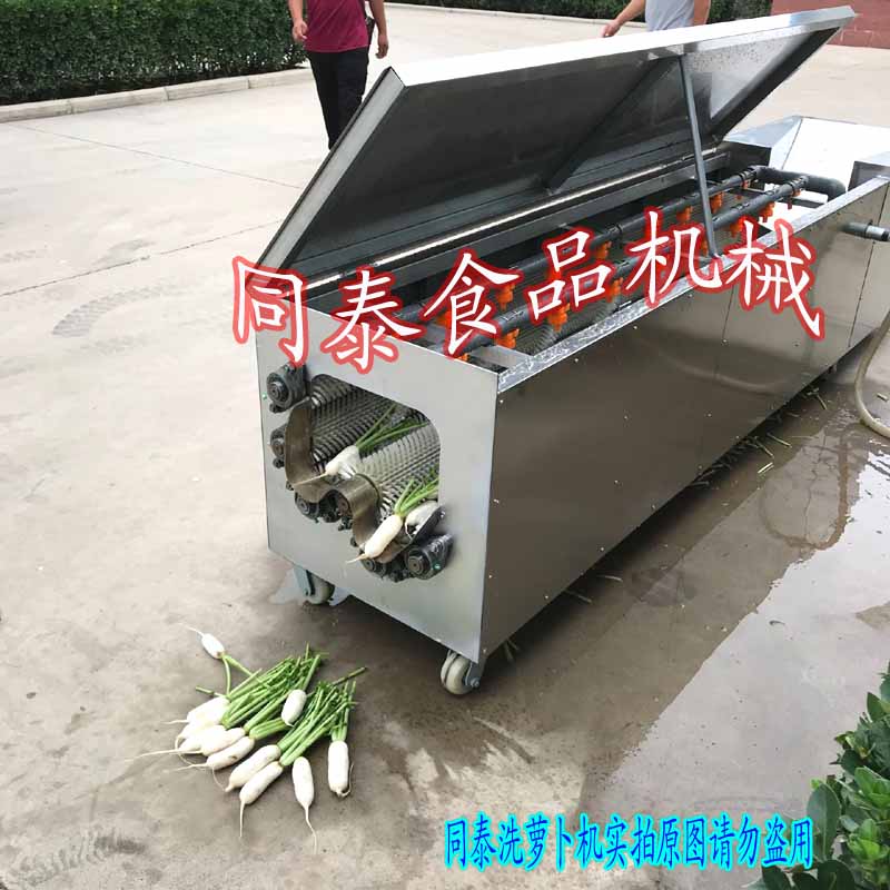 小型蘿卜清洗機(jī)