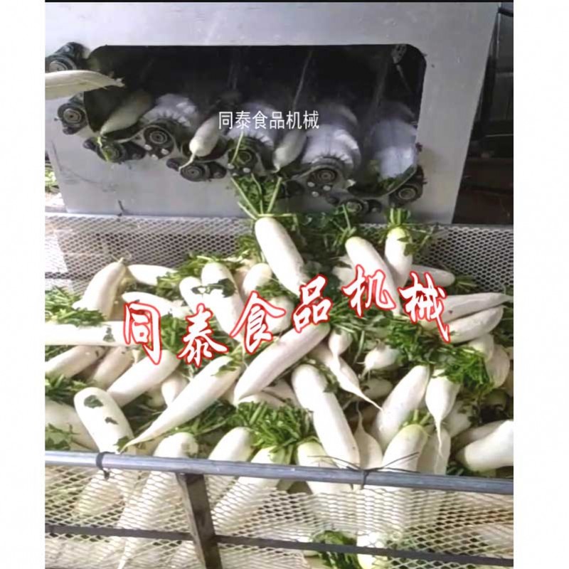 4出口白蘿卜清洗機
