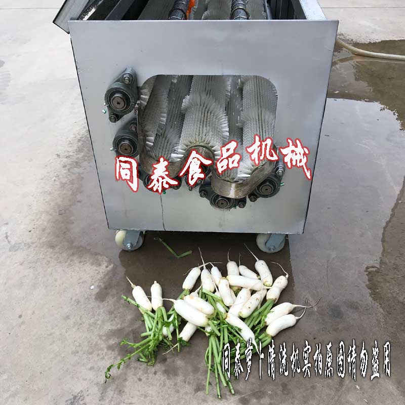 韓國小蘿卜清洗機