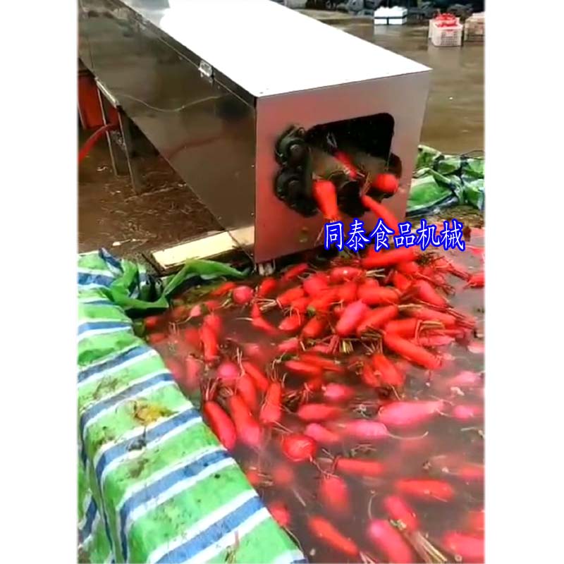 水蘿卜清洗機