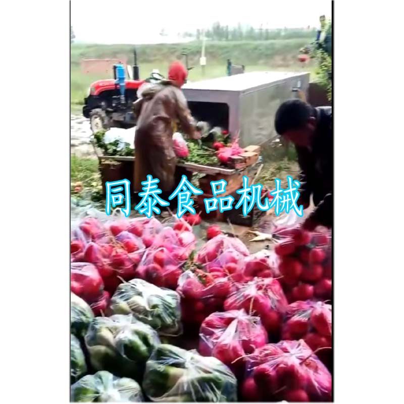 紅圓蘿卜清洗機