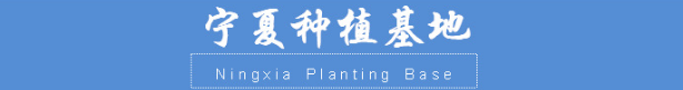 種植基地圖標(biāo)