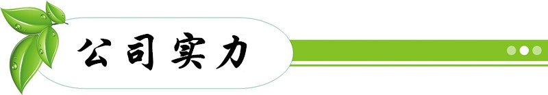 公司實(shí)力