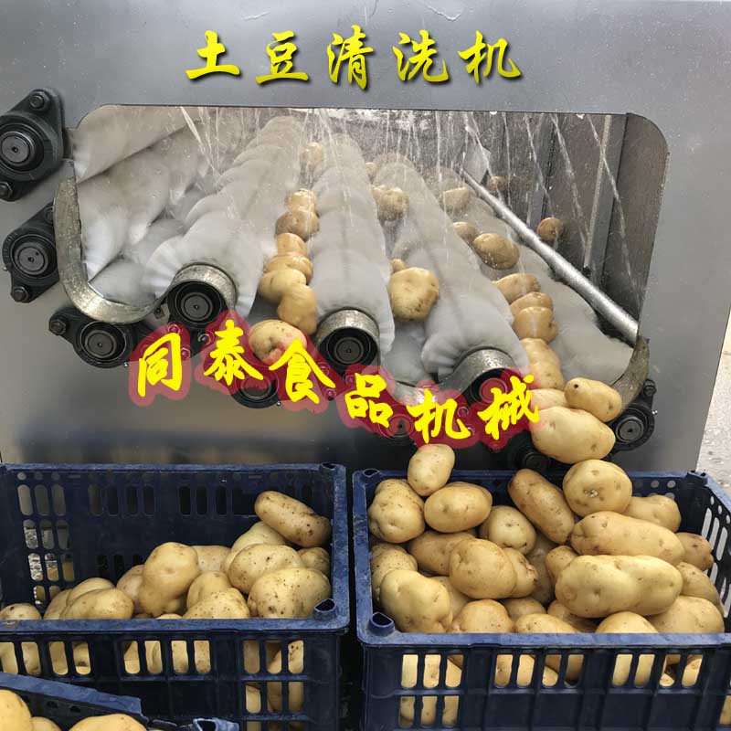 土豆清洗機4