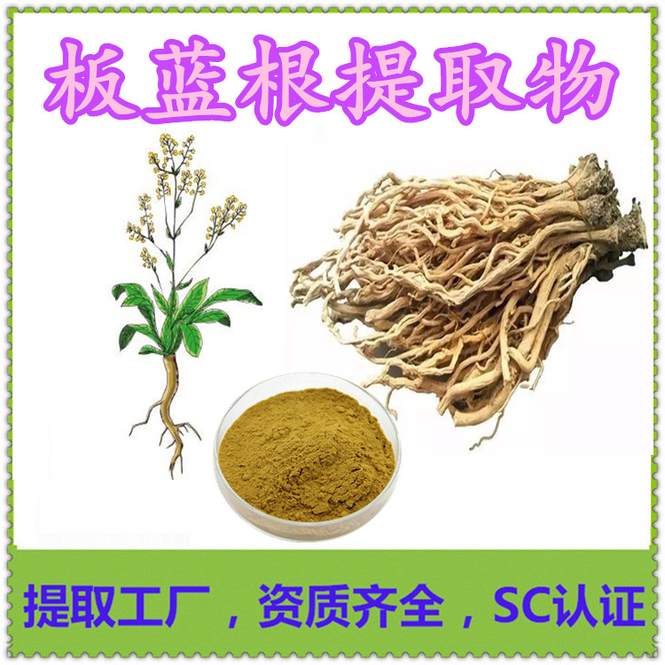 模板標準_副本