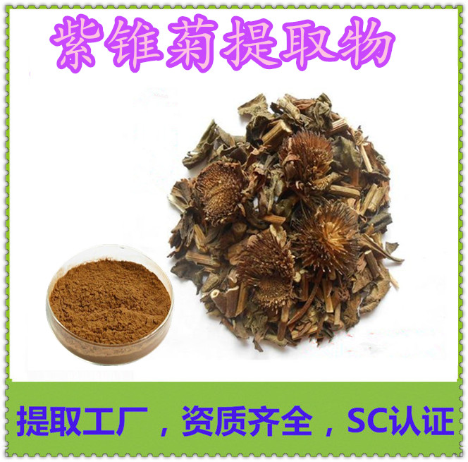 模板_副本_副本