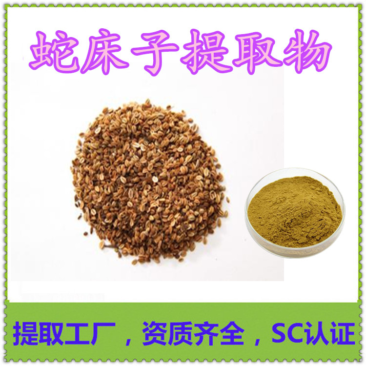 模板標準_副本