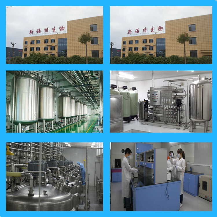 扶風新工廠圖片