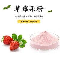 草莓果粉 草莓粉 全水溶 食品原料