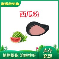 廠家發(fā)貨 西瓜粉 西瓜汁粉 固體飲料標(biāo)準(zhǔn) 水果粉