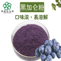 黑加侖粉 噴霧干燥 黑加侖提取物 全水溶 源頭廠家