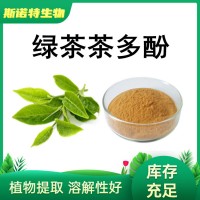 綠茶提取物 茶多酚98% 兒茶素75% EGCG45%