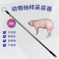 生豬尿液采樣器 動物采尿桿 豬尿采集器采樣器采樣桿