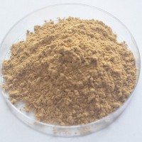 猴頭菇粉 猴頭菇生粉