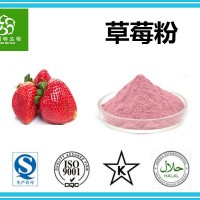 鮮草莓粉 草莓果粉 草莓速溶粉 扶風生產基地專業水果粉