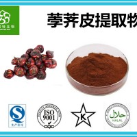 荸薺皮提取物 荸薺皮花青素98% 扶風生產基地 現貨供應